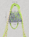 Molly Mini. Spring